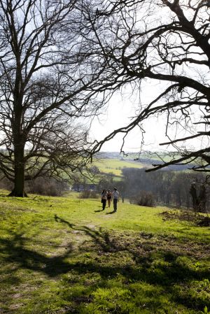 Hardwick Hall 8 sm.jpg